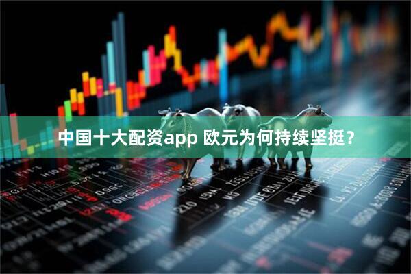中国十大配资app 欧元为何持续坚挺？